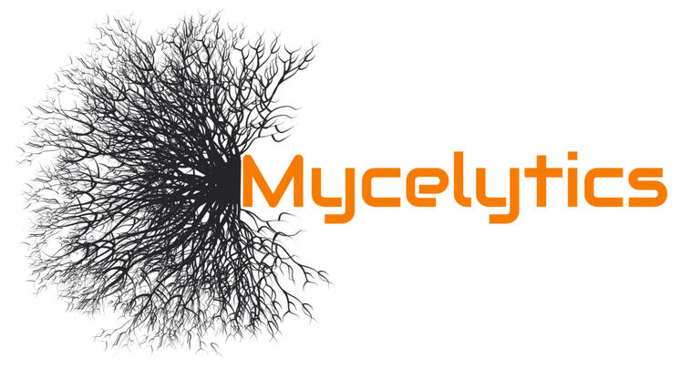 The logo for mycelytics is made up of intersecting black tendrils emanating from the left of the full word "Mycelytics" which is orange.
